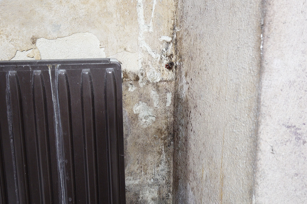 Feuchte Wände sanieren - Ratgeber @ diybook.ch