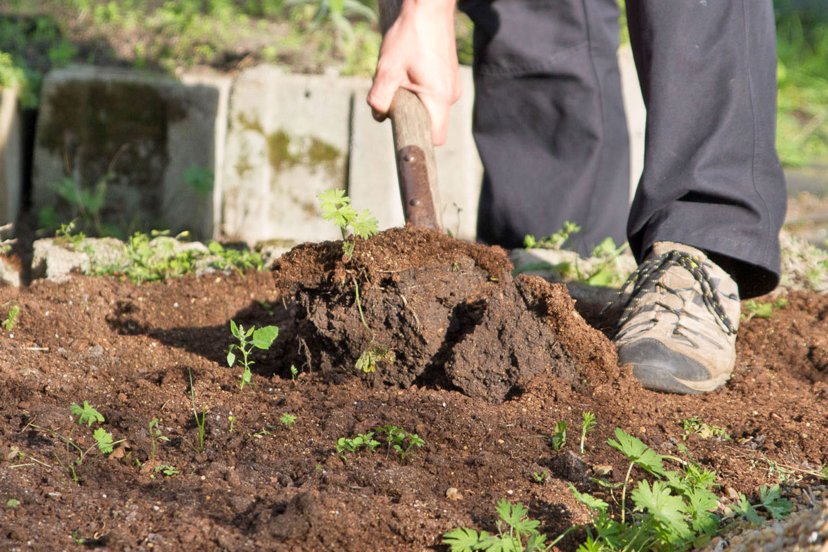 Der Garten im September Tipps & Tricks vom Gärtner diybook.ch