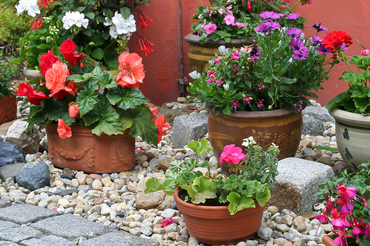 Ratgeber Unser Gartenkalender: Die wichtigsten Gartenarbeiten des