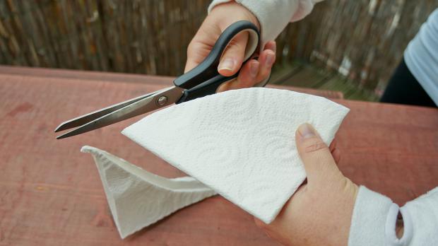 Für Saatscheiben Küchenpapier rund zuschneiden