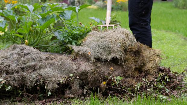 Hügelbeet mit Grasmahd abdecken