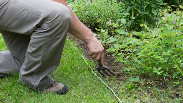 Beet mit Gartenkralle bearbeiten