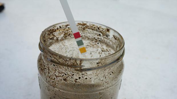 pHWert im Boden messen Tipps & Tricks vom Gärtner Garten und