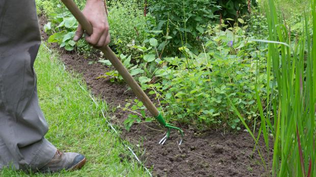 Beet mit Harke auflockern