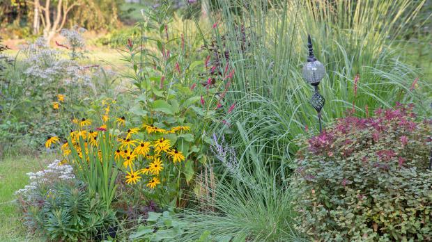 Reihen geschlossen im Blumenbeet