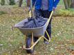 Baum an neuen Standort transportieren