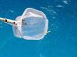 Grundreinigung des Pools mit Kescher