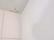Farbe blättert von der Decke