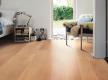 Modernes Buchenparkett