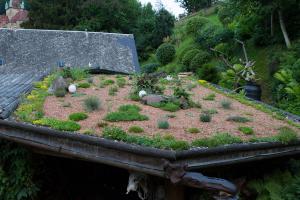 Dachbegrünung: 10 Pflanzen für jedes Gründach