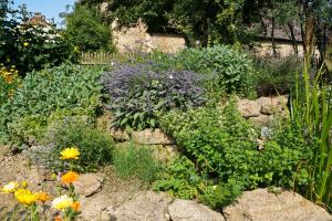 Der Kräutergarten – Aromatherapie im heimischen Grün