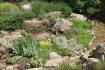 Der Steingarten - Solide Gartengestaltung