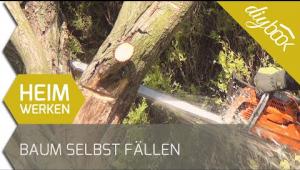 Embedded thumbnail for Baum fällen - Das Fällen einer Weide in Eigenregie